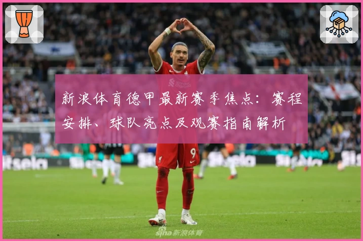 新浪体育德甲最新赛季焦点：赛程安排、球队亮点及观赛指南解析