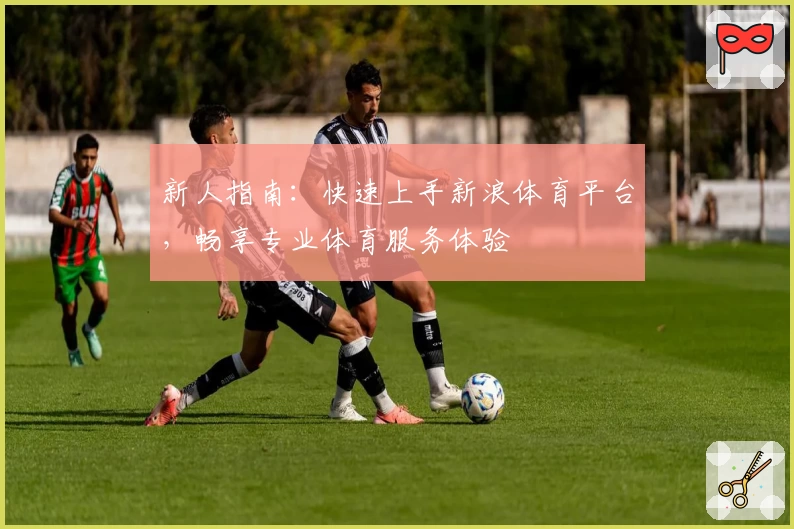 新人指南：快速上手新浪体育平台，畅享专业体育服务体验