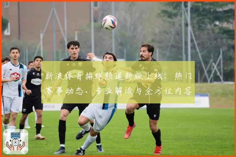 新浪体育排球频道新版上线：热门赛事动态、专业解读与全方位内容体验