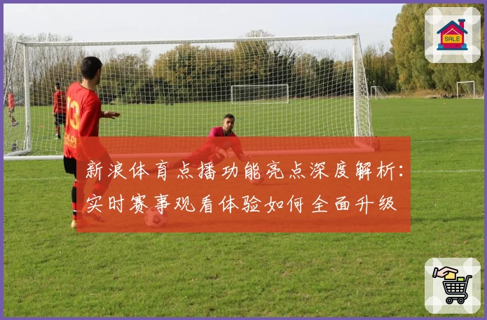 新浪体育点播功能亮点深度解析：实时赛事观看体验如何全面升级