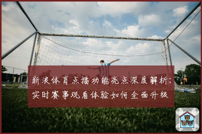新浪体育点播功能亮点深度解析：实时赛事观看体验如何全面升级