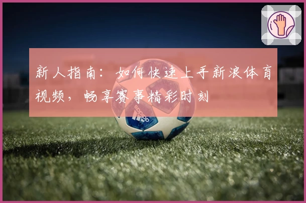 新人指南：如何快速上手新浪体育视频，畅享赛事精彩时刻