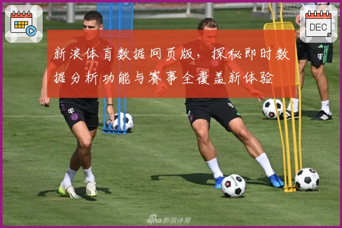 新浪体育数据网页版，探秘即时数据分析功能与赛事全覆盖新体验