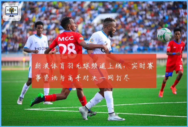 新浪体育羽毛球频道上线，实时赛事资讯与高手对决一网打尽
