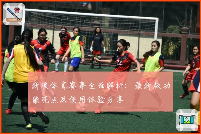 新浪体育赛事全面解析：最新版功能亮点及使用体验分享