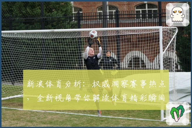 新浪体育分析：权威洞察赛事热点，全新视角带你解读体育精彩瞬间
