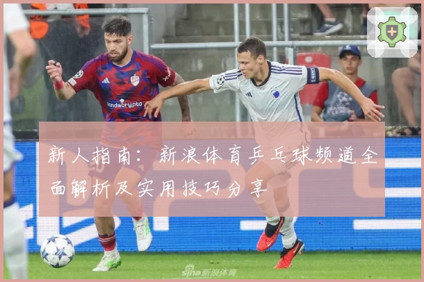 新人指南：新浪体育乒乓球频道全面解析及实用技巧分享