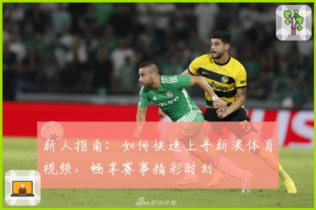 新人指南：如何快速上手新浪体育视频，畅享赛事精彩时刻