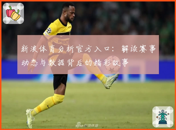 新浪体育分析官方入口：解读赛事动态与数据背后的精彩故事