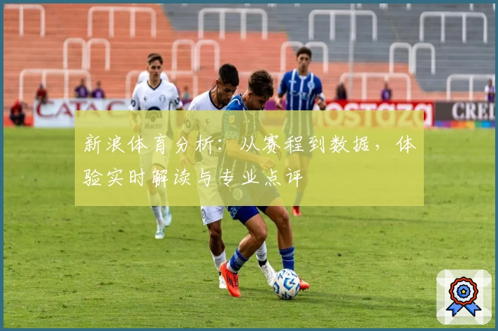 新浪体育分析：从赛程到数据，体验实时解读与专业点评