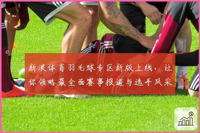 新浪体育羽毛球专区新版上线，让你领略最全面赛事报道与选手风采