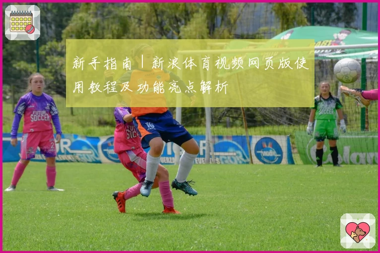 新手指南｜新浪体育视频网页版使用教程及功能亮点解析