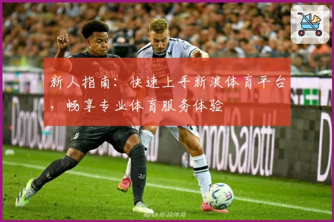 新人指南：快速上手新浪体育平台，畅享专业体育服务体验